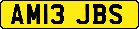 AM13JBS