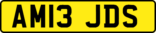 AM13JDS