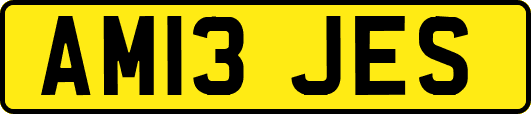 AM13JES