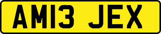 AM13JEX