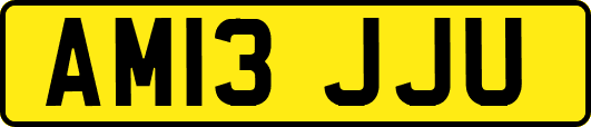 AM13JJU