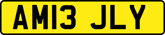 AM13JLY