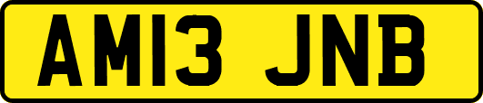 AM13JNB
