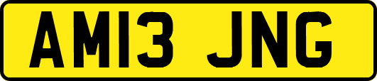 AM13JNG