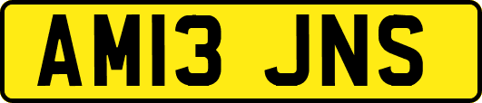 AM13JNS