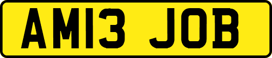 AM13JOB