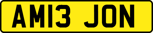 AM13JON