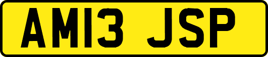 AM13JSP