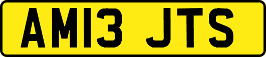 AM13JTS