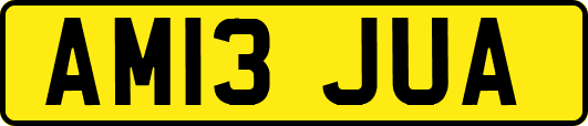 AM13JUA