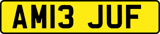 AM13JUF