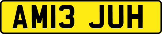 AM13JUH