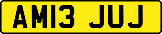 AM13JUJ