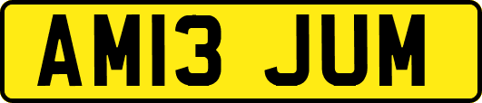 AM13JUM