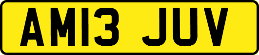 AM13JUV