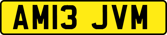 AM13JVM