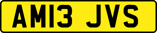 AM13JVS