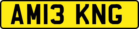 AM13KNG