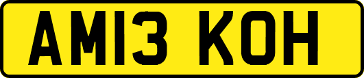 AM13KOH