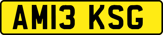 AM13KSG