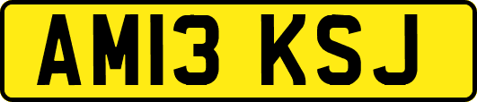 AM13KSJ