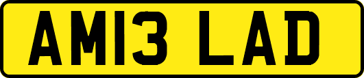 AM13LAD