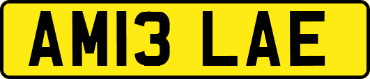 AM13LAE