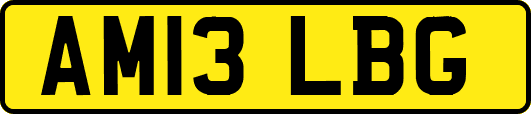 AM13LBG