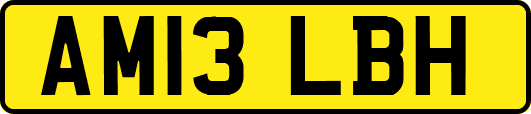 AM13LBH