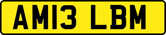 AM13LBM