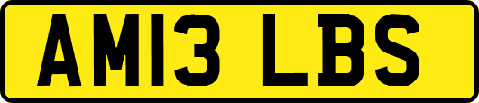 AM13LBS