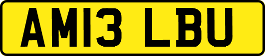AM13LBU