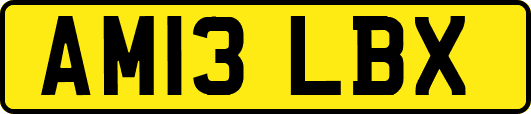 AM13LBX