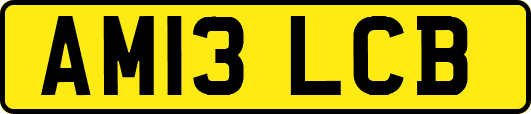 AM13LCB