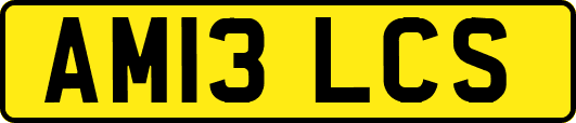 AM13LCS