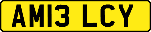 AM13LCY