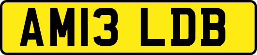 AM13LDB