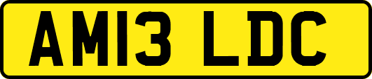 AM13LDC