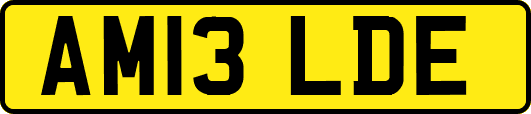 AM13LDE