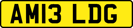 AM13LDG