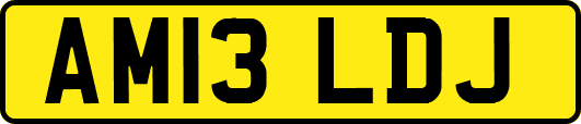 AM13LDJ