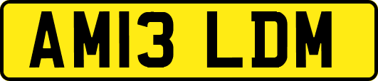 AM13LDM