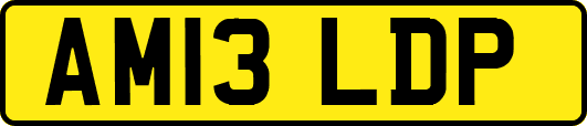 AM13LDP