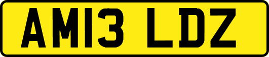 AM13LDZ
