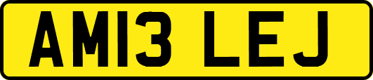 AM13LEJ