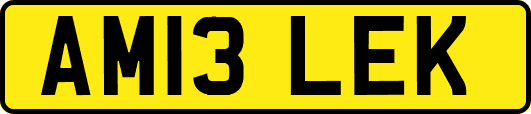 AM13LEK
