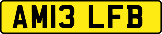 AM13LFB