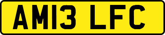AM13LFC