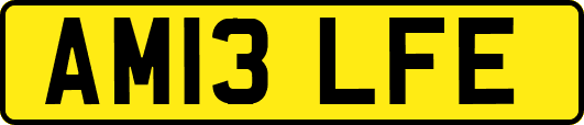 AM13LFE