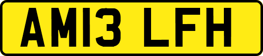 AM13LFH